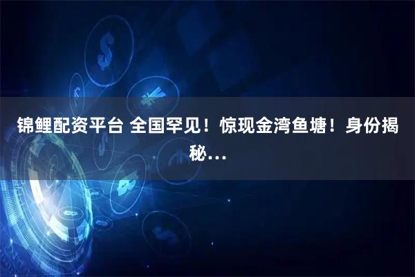 锦鲤配资平台 全国罕见！惊现金湾鱼塘！身份揭秘…